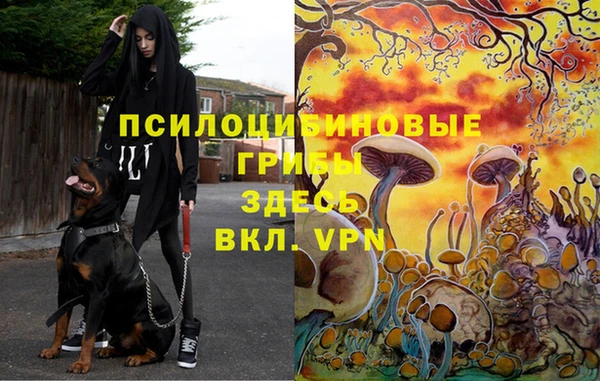 мет Осинники